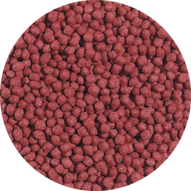 Hikari®; Cichlid Gold