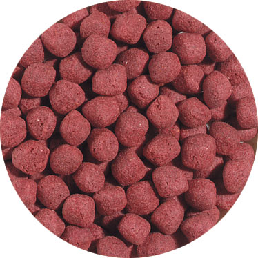 Hikari®; Cichlid Gold