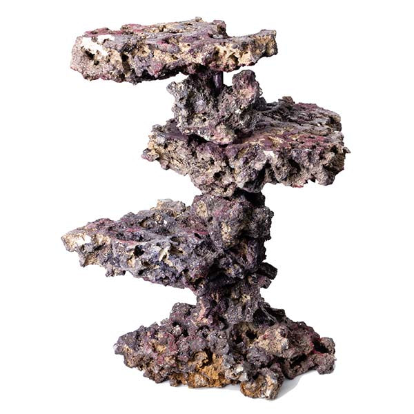 Caribsea® LifeRock Coral Tree