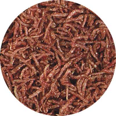 Hikari®; Bio-Pure®; Freeze Dried Bloodworms