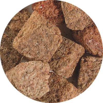 Hikari®; Bio-Pure®; Freeze Dried Bloodworms