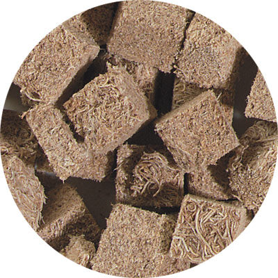 Hikari®; Bio-Pure®; Freeze Dried Bloodworms