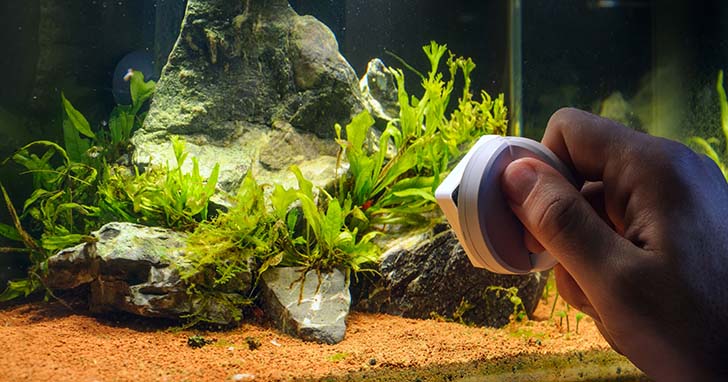 Safe & Unsafe Rocks to Use in an Aquarium