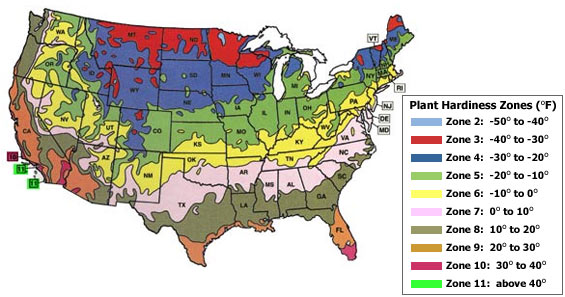 Pond Plant Zone Chart