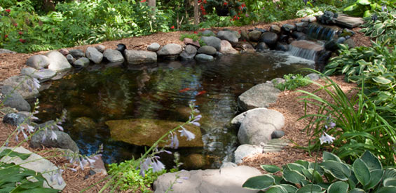 Preparing a Quarantine Area for Pond Fish