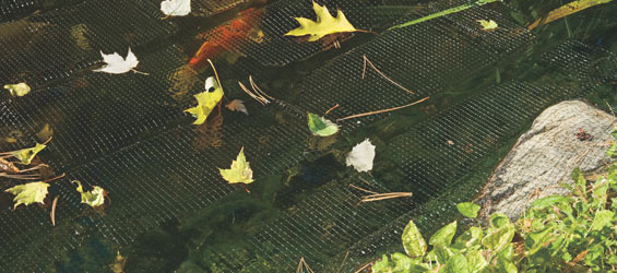 Pond Netting Seasonal Selection Guide