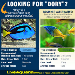 Alternative to Dory