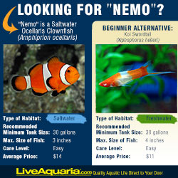 Alternative to Nemo