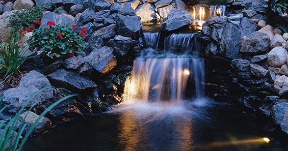 Pond water garden with beautiful evening lighting.