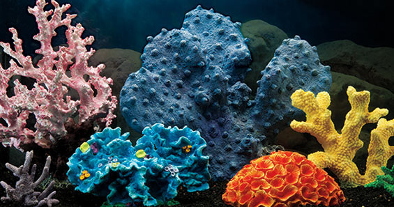 Aquarium Set-up: Top 5 Benefits of Artificial Corals