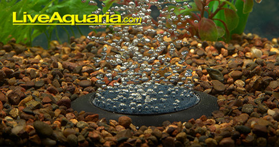 Increase aeration for healthy aquariums