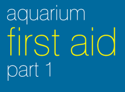 First Aid For Your Aquarium: Necessary Equipment
