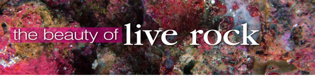 Live Rock: Cultivate Beauty & Biological Diversity