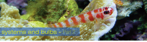 Aquarium Lighting: Systems and Bulbs - Part 2