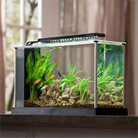 Aquariums less than 50 Gallons