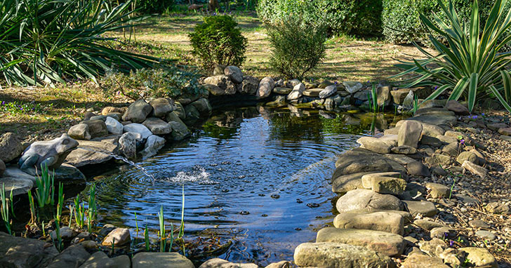 Small ponds