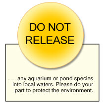 Do Not Release any aquarium or water garden plants into local lakes and streams.