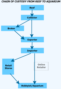 Chain of Custody