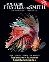 fish aquarium supplies aquatic