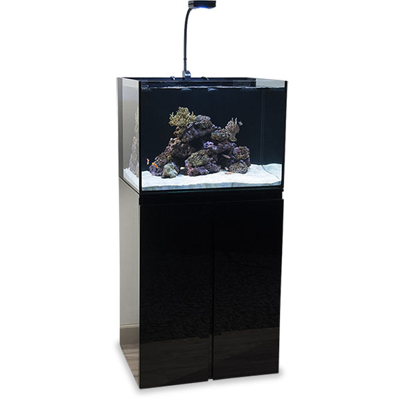 liveaquaria approved aquatic supplies