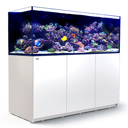 Red Sea REEFER™ XXL 750 Rimless Reef Ready System, White Red Sea REEFER™ XXL 750 Rimless Reef Ready System, White
