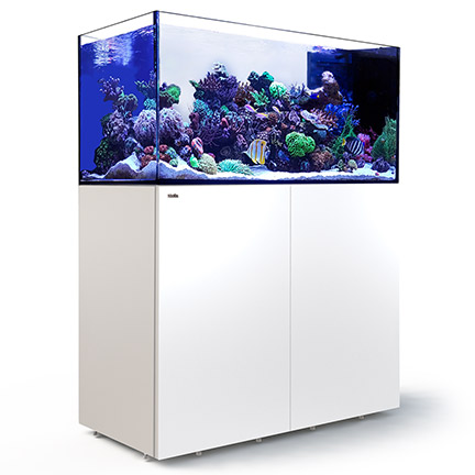 Red Sea REEFER™ Peninsula 500 Rimless Reef Ready System, White Red Sea REEFER™ Peninsula 500 Rimless Reef Ready System, White