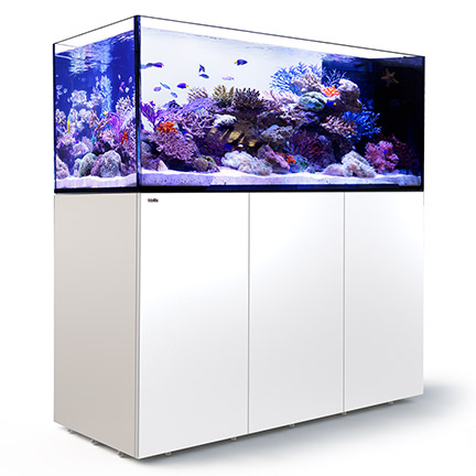 liveaquaria approved aquatic supplies