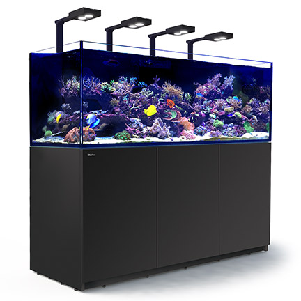 Red Sea REEFER™ DELUXE XXL 750 Rimless Reef Ready System, Black Red Sea REEFER™ DELUXE XXL 750 Rimless Reef Ready System, Black