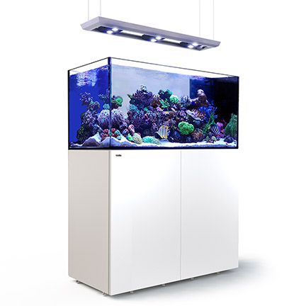 Red Sea REEFER™ DELUXE Peninsula 500 Rimless Reef Ready System, White Red Sea REEFER™ DELUXE Peninsula 500 Rimless Reef Ready System, White