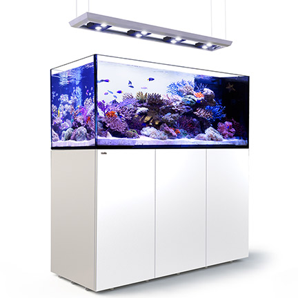 Red Sea REEFER™ DELUXE Peninsula 650 Rimless Reef Ready System, White Red Sea REEFER™ DELUXE Peninsula 650 Rimless Reef Ready System, White