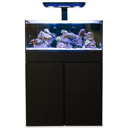 liveaquaria approved aquatic supplies