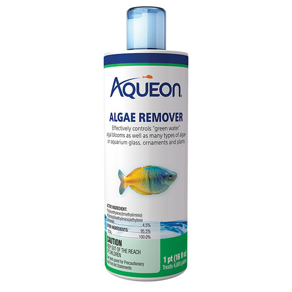 LiveAquaria Approved Aquatic Supplies Aqueon® Algae Remover for