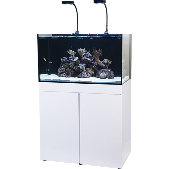 liveaquaria approved aquatic supplies jbj rimless flat panel