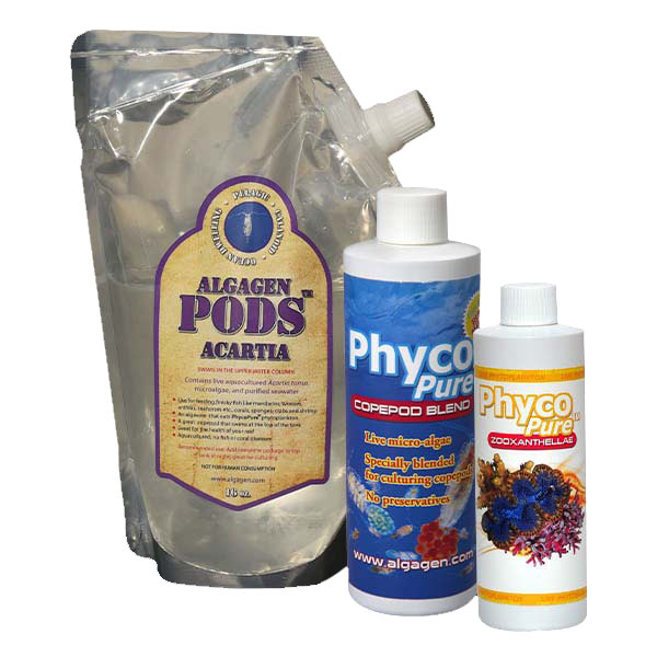 AlgaGen Happy Coral Kit AlgaGen Happy Coral Kit