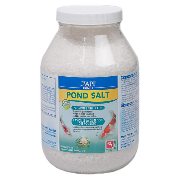 API POND POND SALT