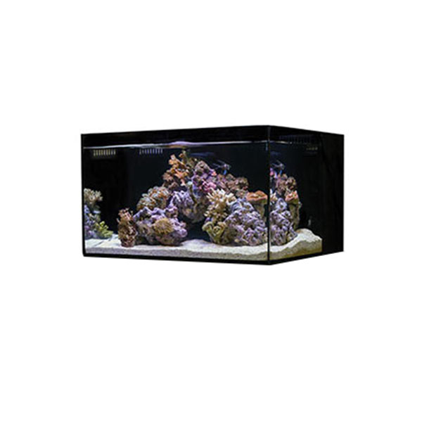 Cobalt Aquatics 18G C-Vue Aquarium