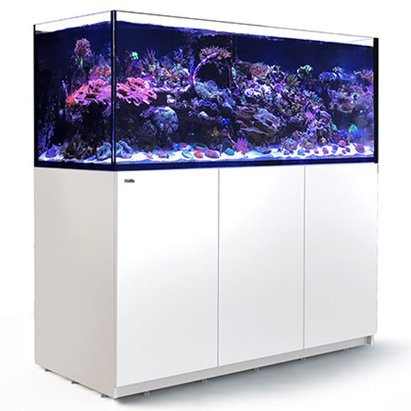 Red Sea REEFER™ XXL 625 Rimless Reef Ready System, White | Supplies at LiveAquaria
