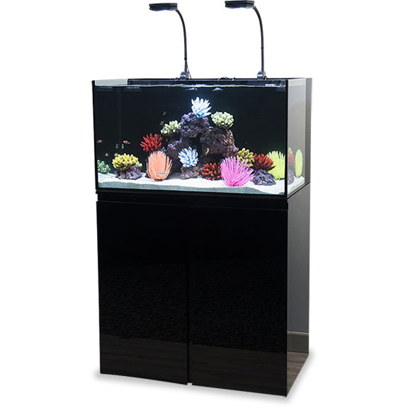 liveaquaria approved aquatic supplies