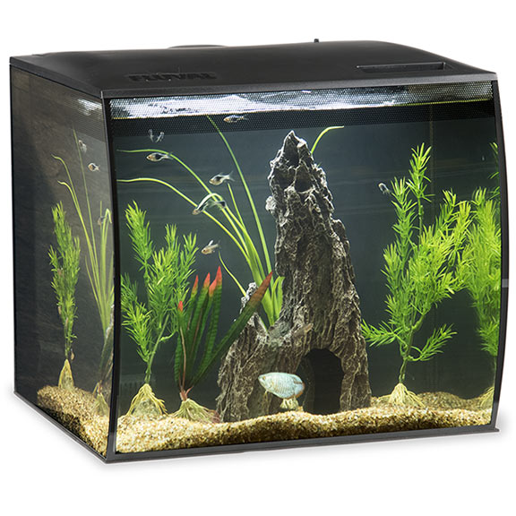 LiveAquaria Approved Aquatic Supplies Fluval Flex Complete Aquarium