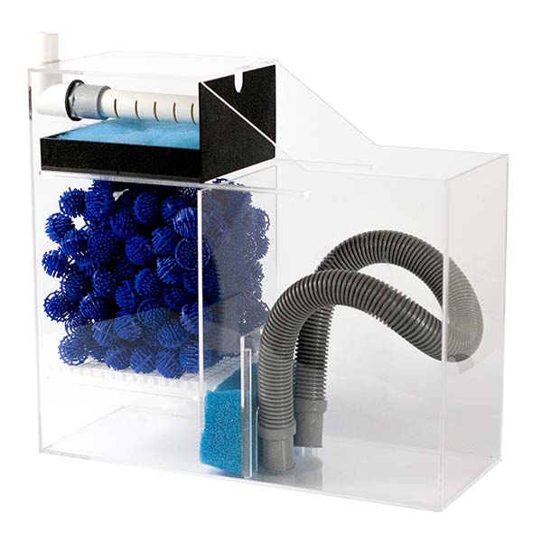 aquarium wet dry filter setup