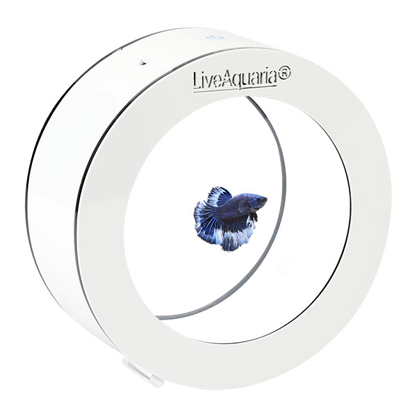 LiveAquaria® Betti Aquarium Kit with Premium Halfmoon Butterfly Betta Male LiveAquaria® Betti Aquarium Kit with Premium Halfmoon Butterfly Betta Male