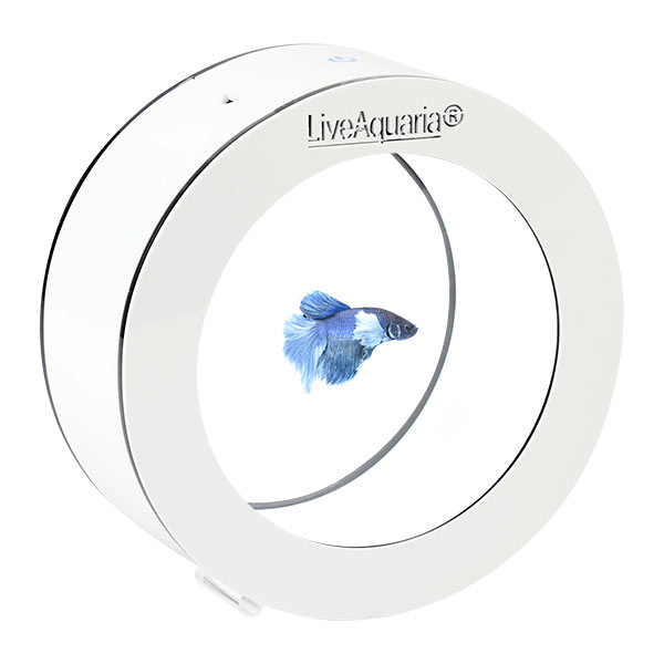 LiveAquaria® Betti Aquarium Kit with Ultra Premium Elephant Ear Betta Male LiveAquaria® Betti Aquarium Kit with Ultra Premium Elephant Ear Betta Male