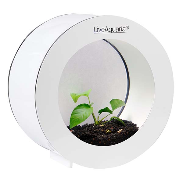 LiveAquaria® Premium Shrimp Aquarium Kit Orbi White LiveAquaria® Premium Shrimp Aquarium Kit Orbi White