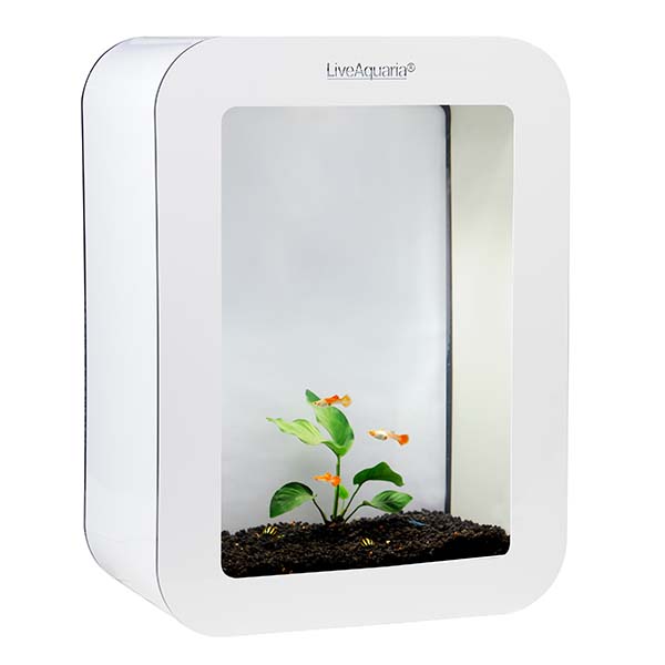 LiveAquaria® Beginner Guppy Aquarium Kit Cubi White LiveAquaria® Beginner Guppy Aquarium Kit Cubi White