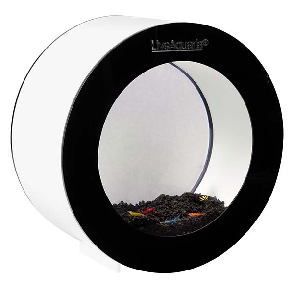 Shrimp clearance aquarium kit