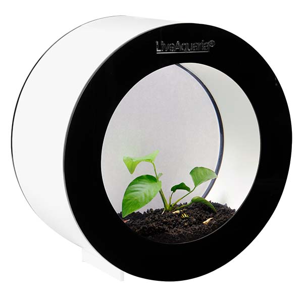 LiveAquaria® Premium Shrimp Aquarium Kit Orbi Black LiveAquaria® Premium Shrimp Aquarium Kit Orbi Black