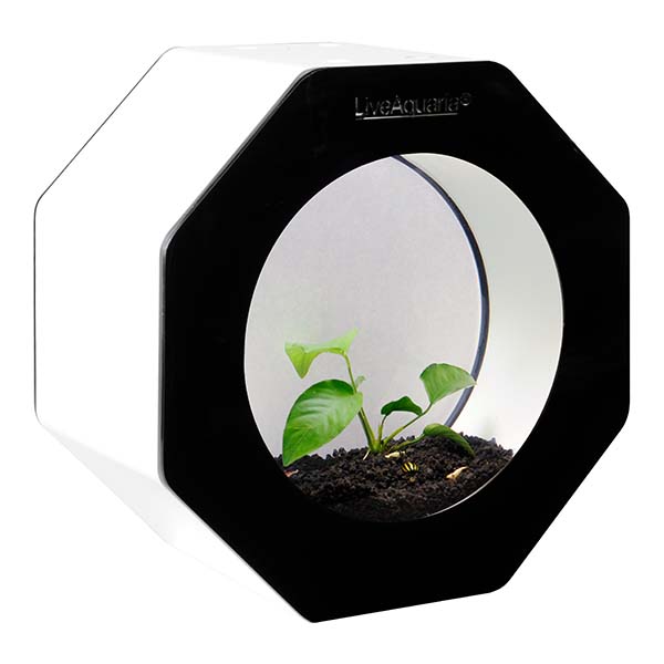 LiveAquaria® Premium Shrimp Aquarium Kit Octi Black LiveAquaria® Premium Shrimp Aquarium Kit Octi Black