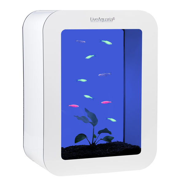 LiveAquaria® GloFish Danio Aquarium Kit Cubi White