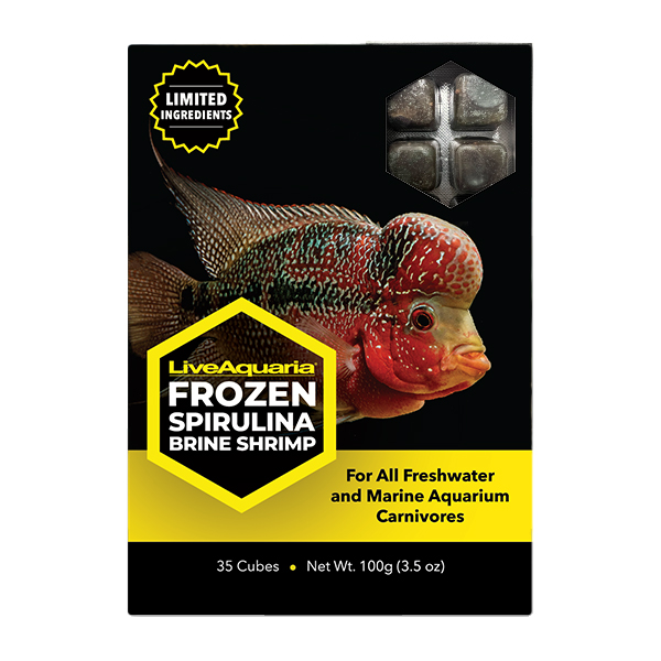LiveAquaria® Frozen Spirulina Brine Shrimp