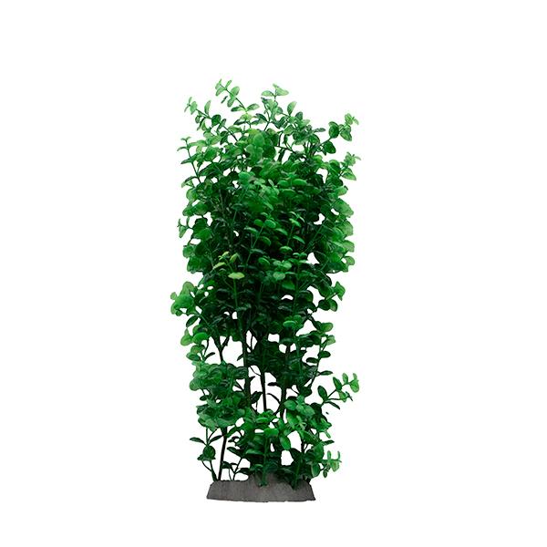 LiveAquaria® 14" Upright Background Plant 